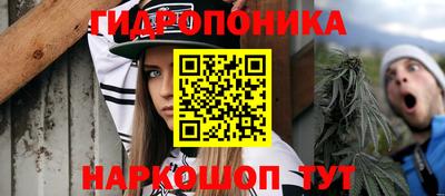 стаф Гусев
