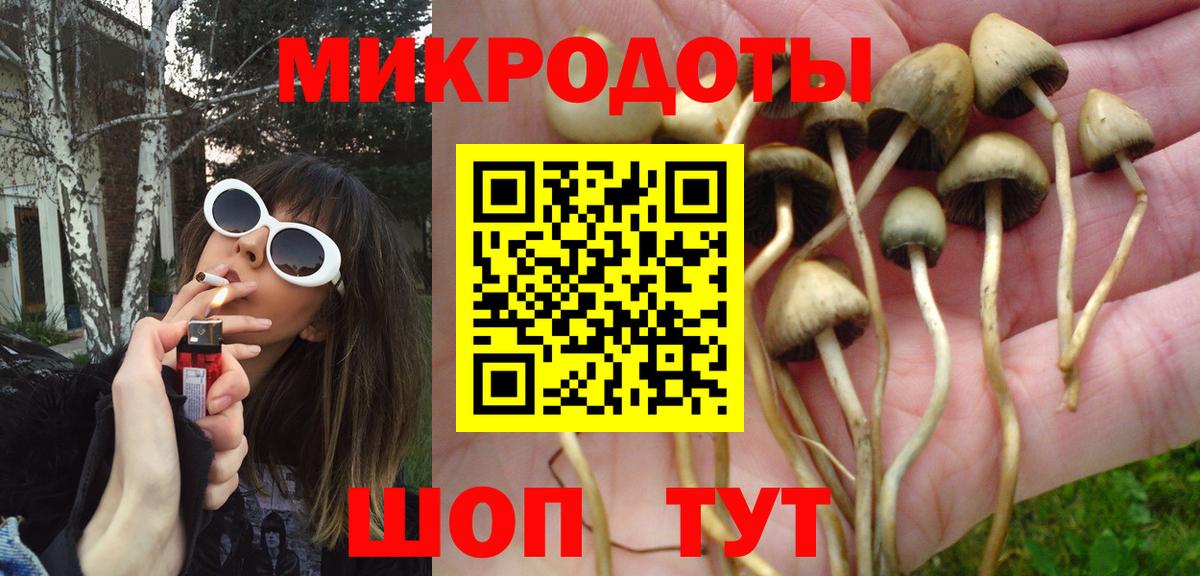 Псилоцибиновые грибы Psilocybine cubensis Новоуральск
