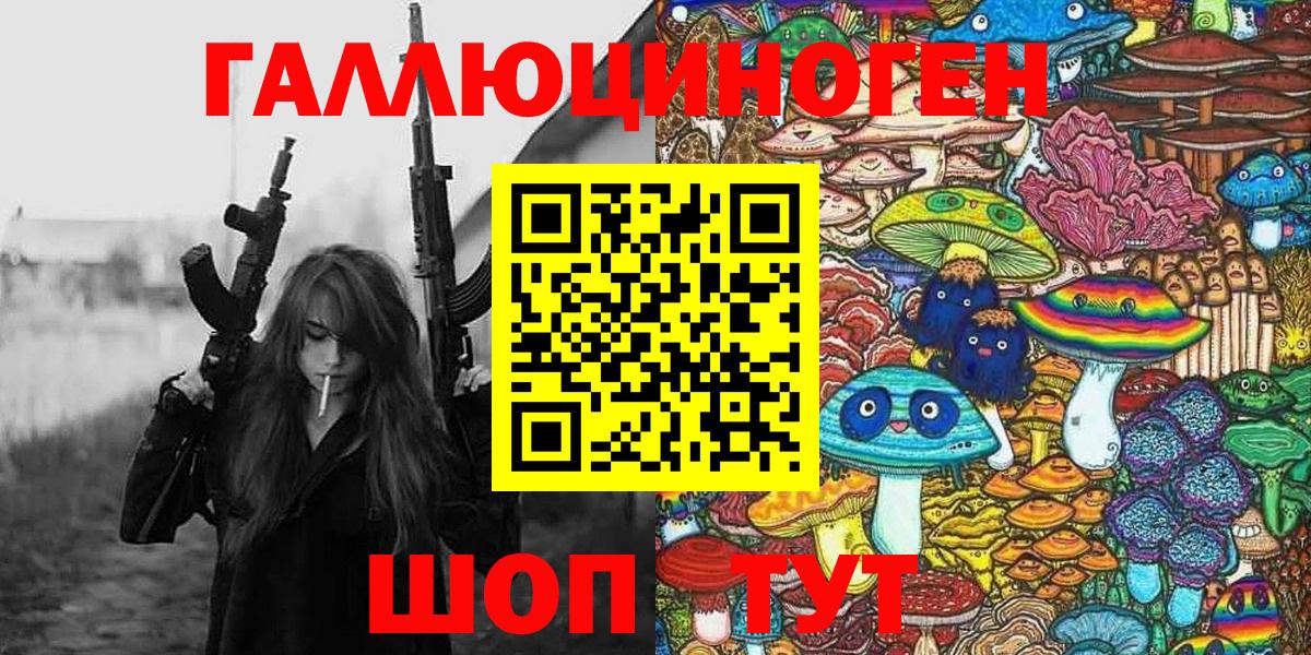 как найти закладки  Вход с VPN  Новоуральск  Галлюциногенные грибы Psilocybine cubensis  Псилоцибиновые грибы Psilocybe 
