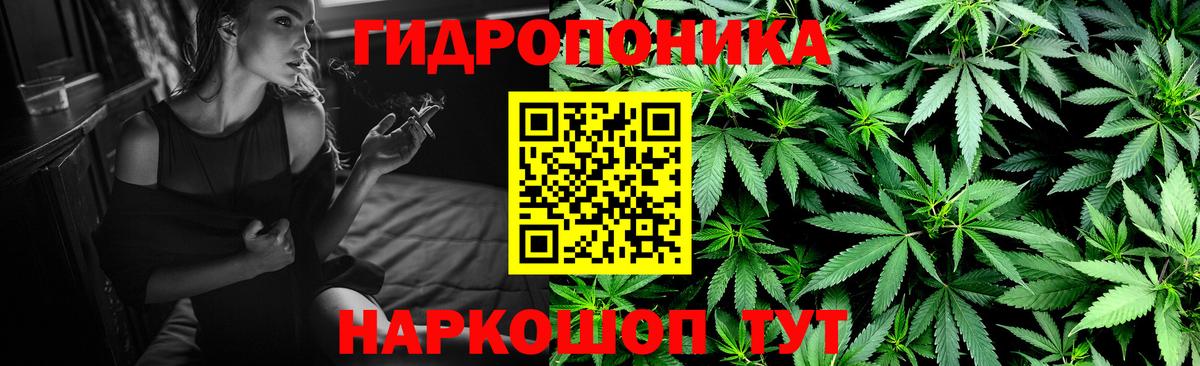 Бошки марихуана план  Вход с VPN  Новоуральск  Шишки марихуана сатива  Конопля марихуана 